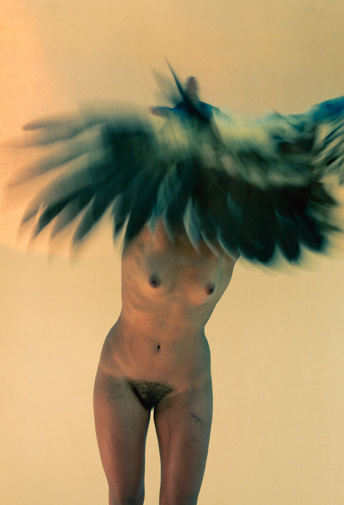 Ryan McGinley