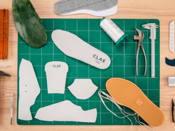 clae cactus