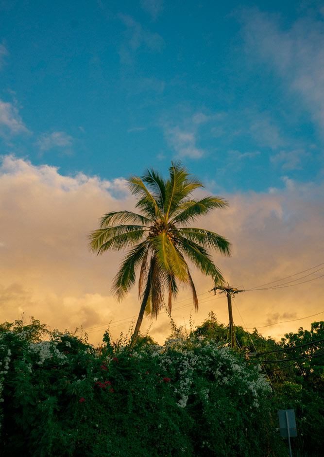 fotografía del libro Kona