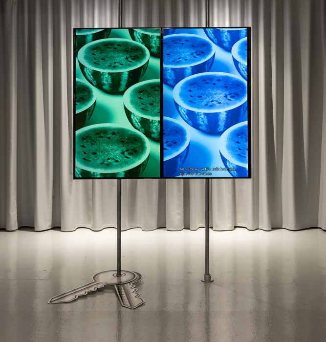 muestra de Eli Corti&ntilde;as en la galer&iacute;a House of Chappaz de Barcelona